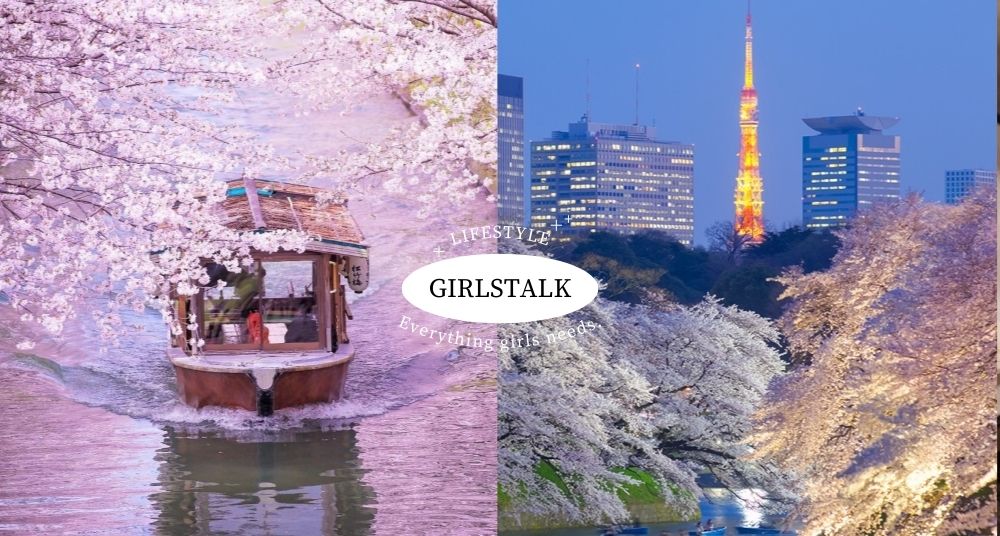 2025日本10大櫻花景點推薦！京都伏見乘船「櫻花河道」、目黑川最夢幻夜櫻必收藏！